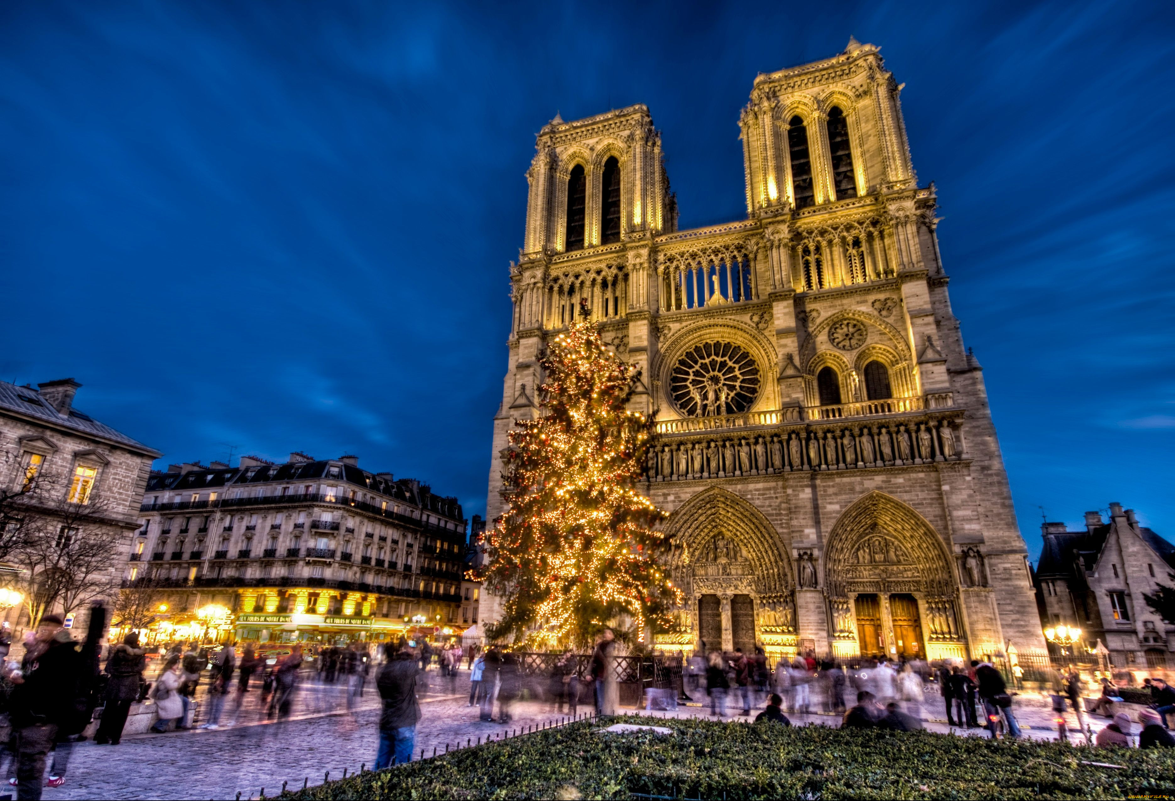 notre, dame, de, paris, , , , france